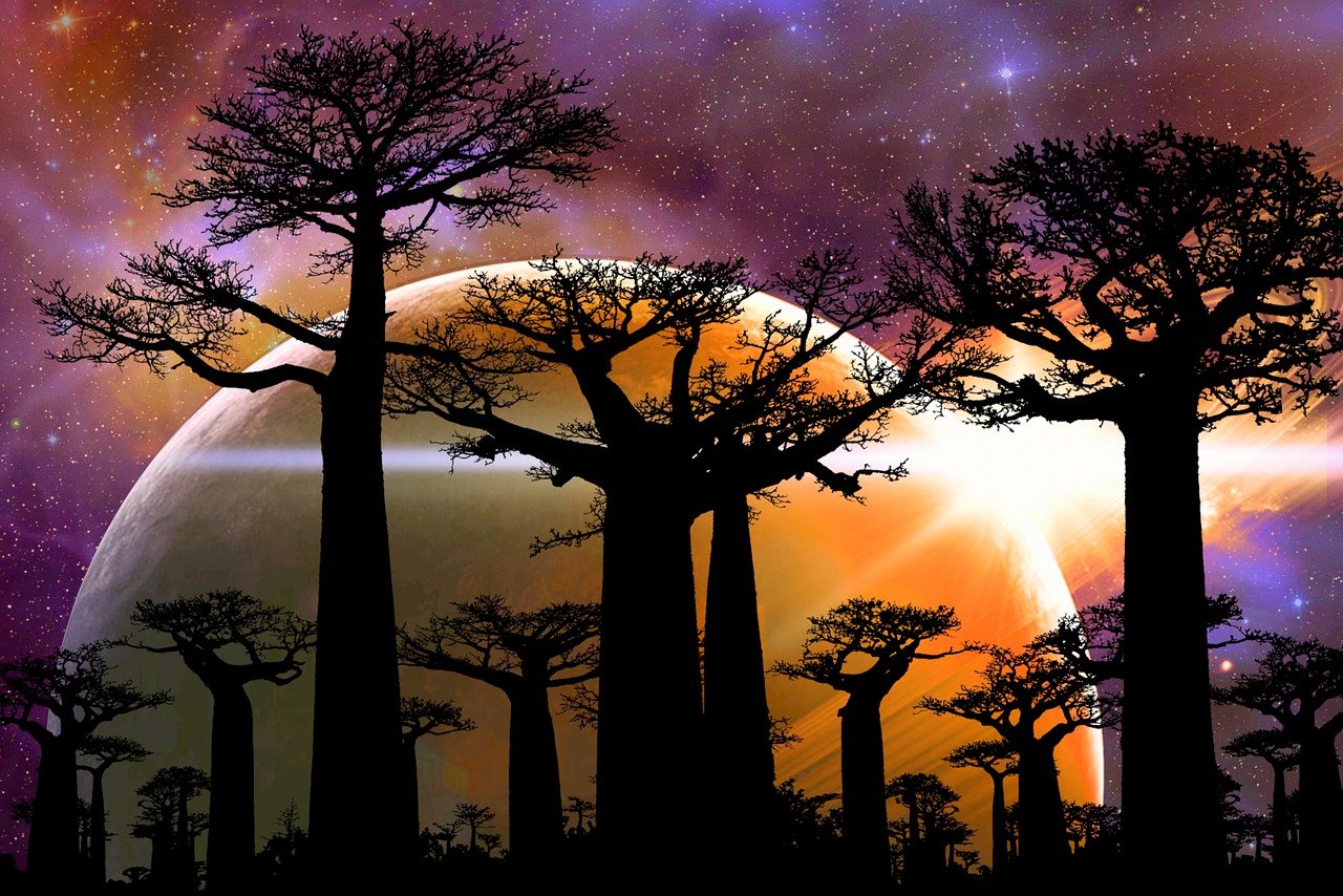 The Discovery of New Exoplanets - What It Means for Us